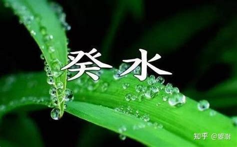 癸水名人|八字命理十天干详解之癸水 